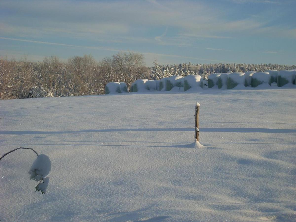 Location Vacances Des 4 Vents Girmont-Val-d'Ajol Extérieur photo